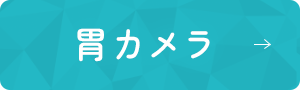 胃カメラ