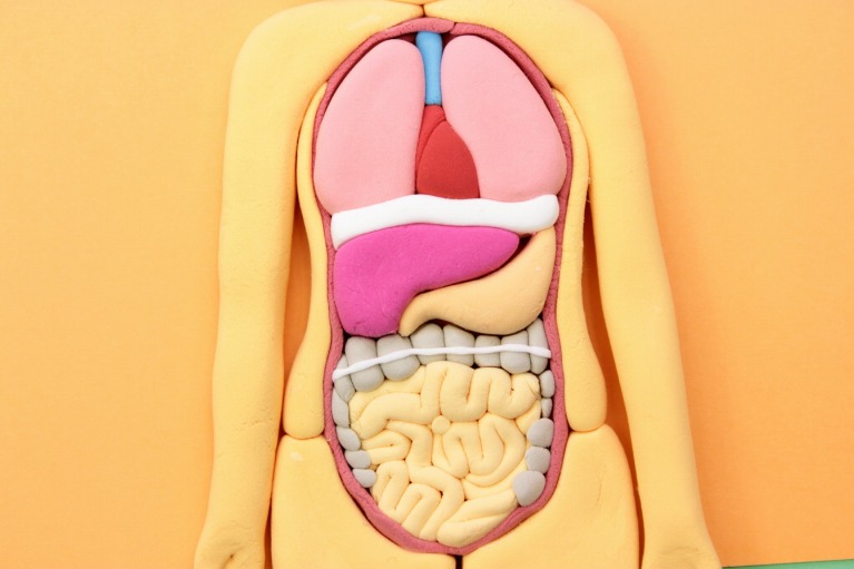 消化器・胃腸科の主な対象疾患